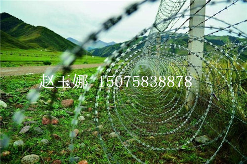 邊境線(xiàn)刀片刺絲